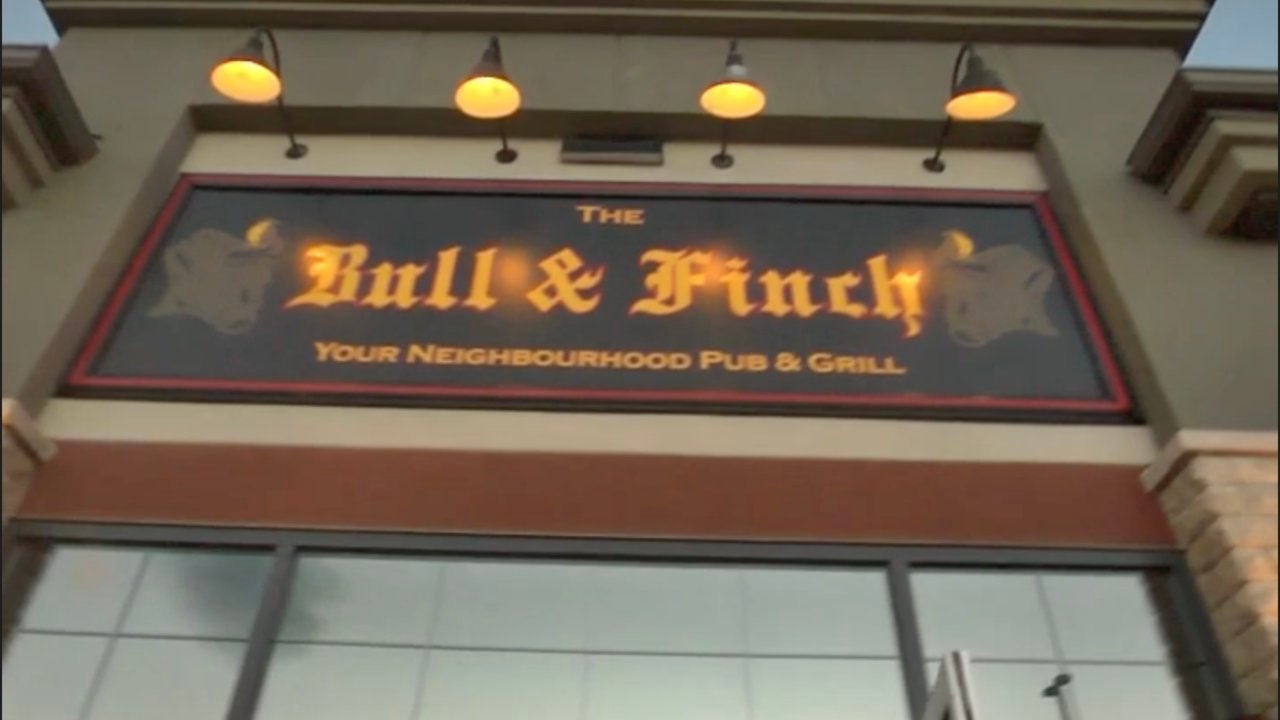 The Bull & Finch video